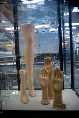 Photographs by Anne Fishbein